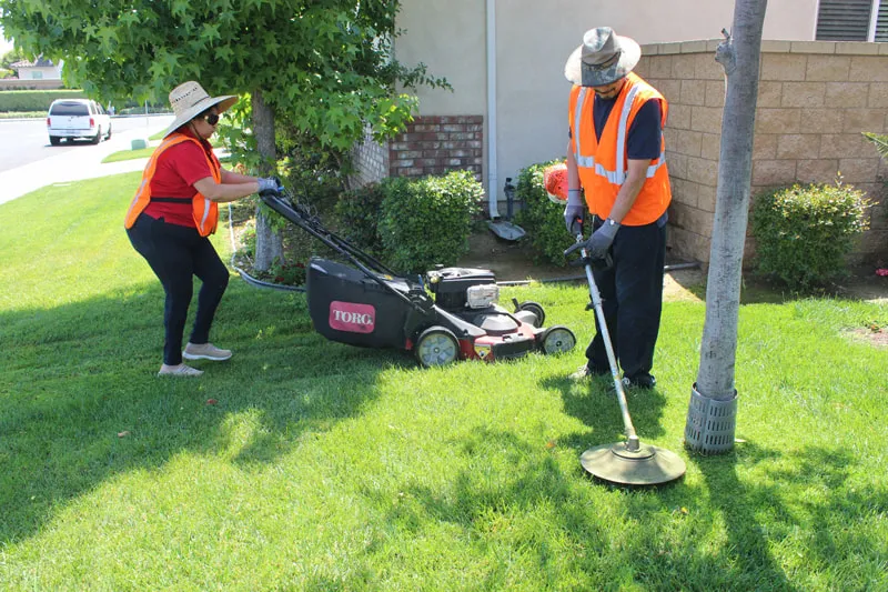 MVLandscape Team Mowing and Edging Lawn