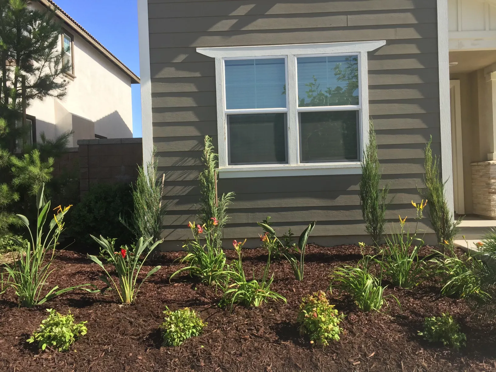 MVLandscape planting service